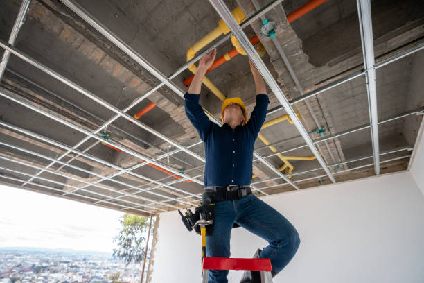 Best Plumbing Inspection Services  in Syracuse, KS